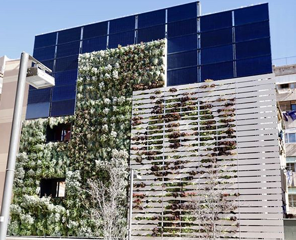 Plaça de les Dones del 36, jardí vertical de gabions de substrat amb utilització de planta C4 i CAM, adaptacions per millorar la resiliència. 
